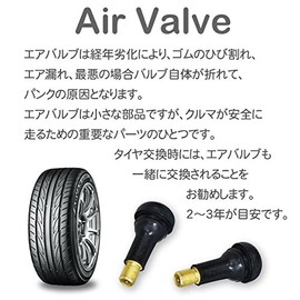 Set of 10 TR413 Tire Air Valves Rubber Valves Valve Core with Cap Chu-Breath