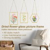 3 pcs Pressed Flowers Glass Frames,Golden Hanging Glass Picture Frames