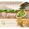Nippon Sante Sleeping Time Supplement, Made in Japan, GABA Tryptophan,