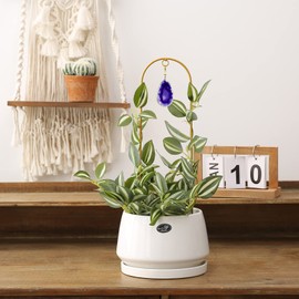 Ceiner 2PCS Small Gold Trellis for Climbing Plants Indoor, Mini Metal Houseplant Climber Support for Potted Plants, Boho Decorative Pot Lattice with Agate for Hoya, Pothos, Ivy, Philodendron