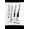 Fortessa Prime Cut Steak Knife with Stainless Steel Handle, 9.5-Inch,
