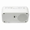 Wintech AM/FM Clock Radio CR – x1wl White LED dexyuaruara-mu