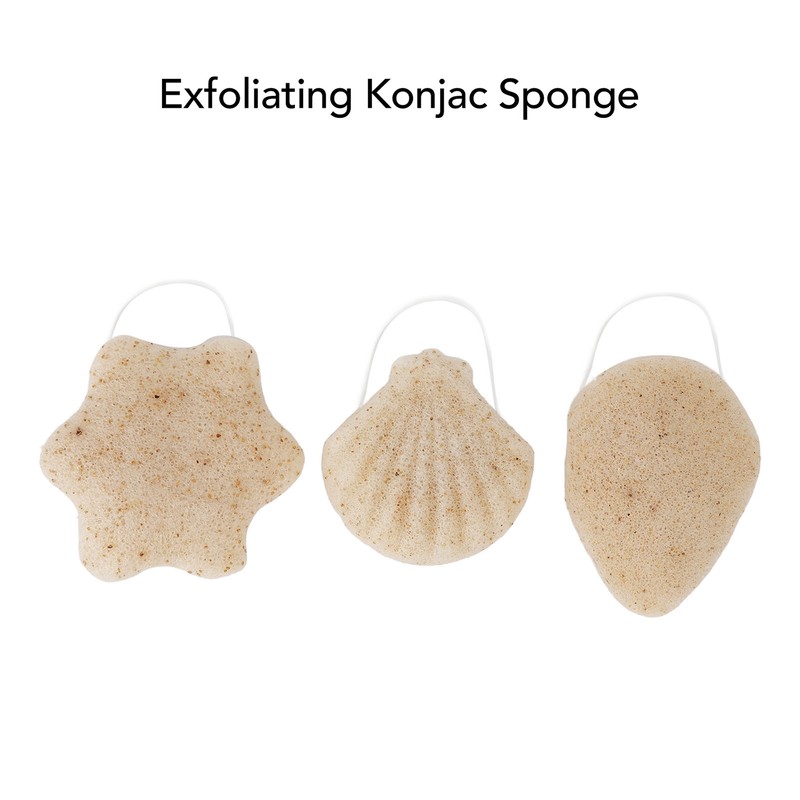 3pcs Walnut Powder Exfoliating Facial Sponge Soft Skin Cleansing Konjac