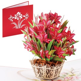 IOYOUNOW Red Amaryllis Flower Bouquet - 6x12 Inch Pop Up Paper Flower Bouquet Greetings Card - Perfect for Anniversary, Valentines Day, Birthday, Love