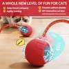 Interactive Cat Ball Toys, 360° Intelligent Auto-Rolling Cat Toy Ball