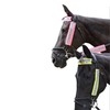 HyVIZ Reflective Bridle Set - Pink/Black (3 Pieces)