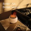 Flame Diffuser for Essential Oils, Essential Oil Diffuser for Home