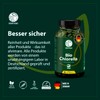 Alvimare Chlorella Tablets, 360 Pieces (180 g) - Non-GMO Premium