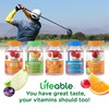 Lifeable Lifeable B Complex + Vitamin C 750mg, Gummies Bundle