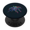 Spider Design Anatomy Spider Insects PopSockets Swappable PopGrip
