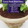 Super Moss (23277) Coco Peat Soil, Mini Bale (0.6 ft3)