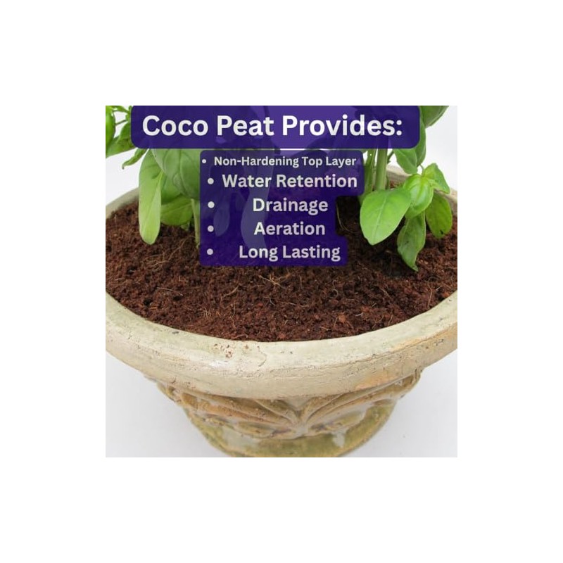 Super Moss (23277) Coco Peat Soil, Mini Bale (0.6 ft3)