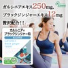 リプサ ガルシニア＋ブラックジンジャー粒 約1か月分×3袋 T-951-3 (240粒×3袋)