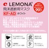 [POP SKIN] Pop Berry LEMONA Lemona KF-AD 3D 3D Mask,