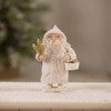 Bethany Lowe Winter Santa with Basket