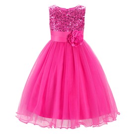 JerrisApparel Little Girls' Sequin Mesh Flower Ball Gown Party Dress Tulle Prom (5, Rose)