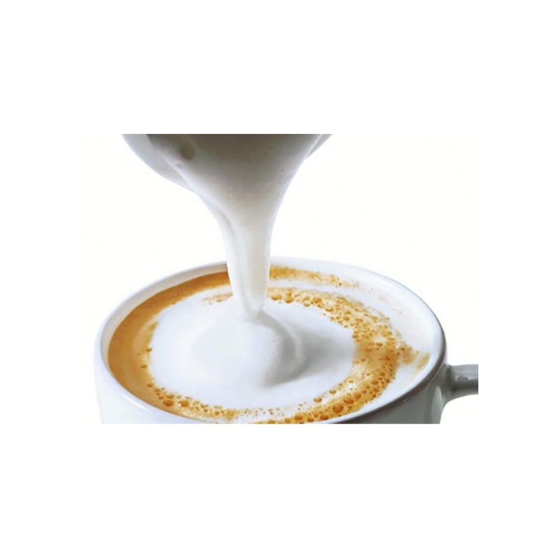 IBILI 778110 de Leche Batidor, stainless steel, colourful
