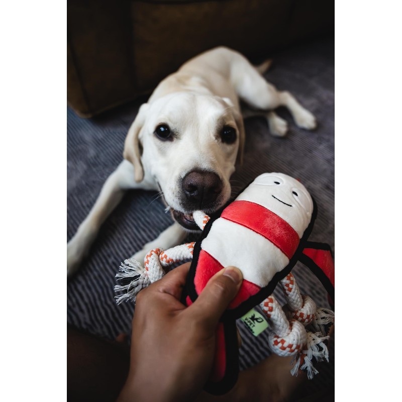 Rough & Tough Plush Toy, Dog Toy, Squeaky Toy, Tug