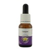 Living Essences Catspaw 15ml