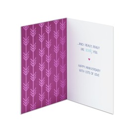 American Greetings American Greetings Funny Anniversary Card (I Like Doing Anything With You)