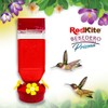 BEBEDERO RUBI P/COLIBRI 530 ML