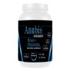 Aminoácidos Bcaas + Glutamina Anubis 1kg 100 Servicios