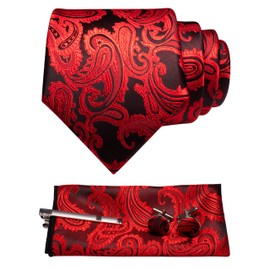 JEMYGINS Men's Necktie, Paisley Pattern, Pin, Cuffs, Button, Chief, Business, Job Hunting, Weddings, School Entrance Ceremonies, Graduations, After-parties, Funerals, Parties, Father's Day, Present,