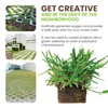 SodPods® St Augustine Floratam Grass Plugs for Lawn Repair, 3"