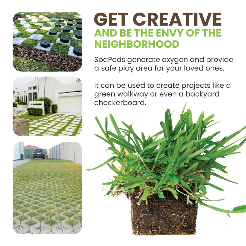 SodPods® St Augustine Floratam Grass Plugs for Lawn Repair, 3"