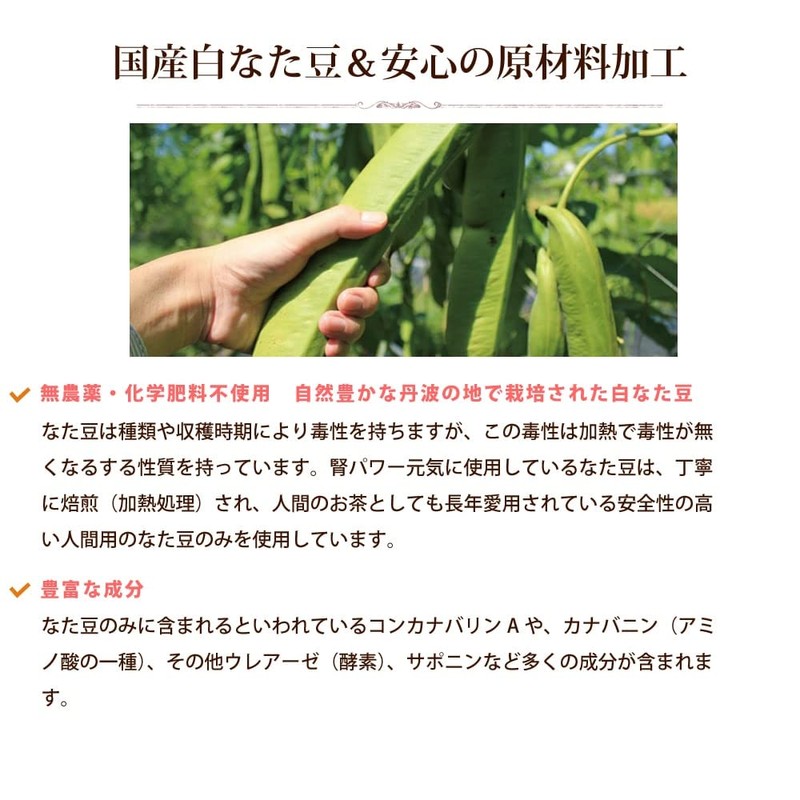 帝塚山ハウンドカム 犬 サプリメント 腎パワー元気 90g ボトルタイプ 無添加 国内製造 腎臓 低リン