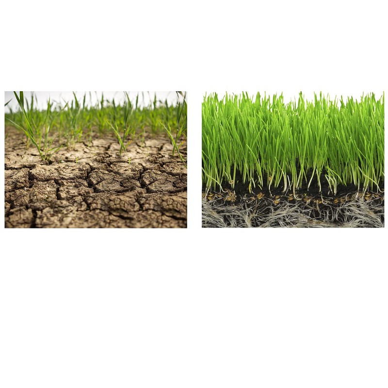 Commercial Agriculture Grade Potassium Polymer (5 Lbs)