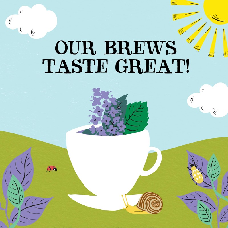 Clipper Organic Peppermint & Spearmint Infusions Fruit Teabags / 80