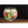 Ginology Poppies Copa Gin Glass