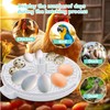 Egg Incubator for Hatching Chicks, Holds 12 Eggs, Automatic Egg