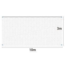 SLQM Cat Net Balcony, Balcony Netting for Cats, Robust, for Indoor and Outdoor Stairs, Windows Balconies Patios Gardens, With Fixed Anti-Expansion Screw Hook, Transparent Rope(10 x 3 m)