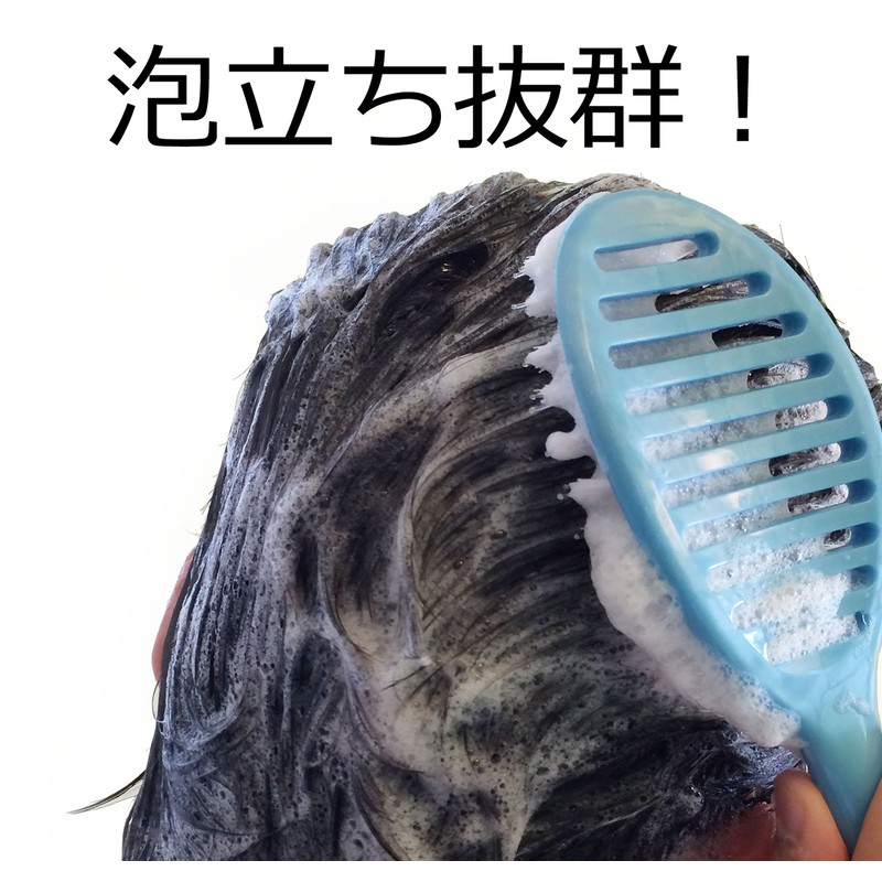 Kinugawa Company W Hair! Shampoo & Treatment Scalp Brush ShamP