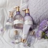 Lawrence Shining Through Hand Cream, Lian Macheri (Layered Moist Type),