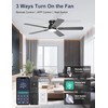 Phylluz 52'' Black Flush Mount Ceiling Fan with Lights for