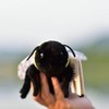 TAMMYFLYFLY Soft Insect Plush Toy, Stuffed Bee Animal Doll,Cute Honeybee
