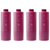 Set of 4 Pieces: Number Three Mulliam Treatment B, 21.2