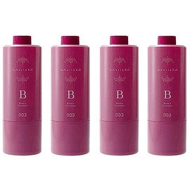 Set of 4 Pieces: Number Three Mulliam Treatment B, 21.2 oz (620 g)