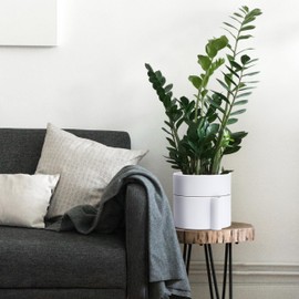 Phoenix Vine 8 Inch Self-Watering Planter Pot with Terracotta Insert, Deep Water Reservoir, and Ceramic-Alike BPA-Free Plastic Planter Pot for Plant, Modern Planter for Houseplants, White, 53-A-T-1