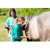 Equine Synergy Cush-Ease + High Potency Nutrition Supplement for Cushings