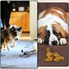 BABORUI Interactive Dog Toys Mouse, Escaping Mice Squeaky Dog Toy