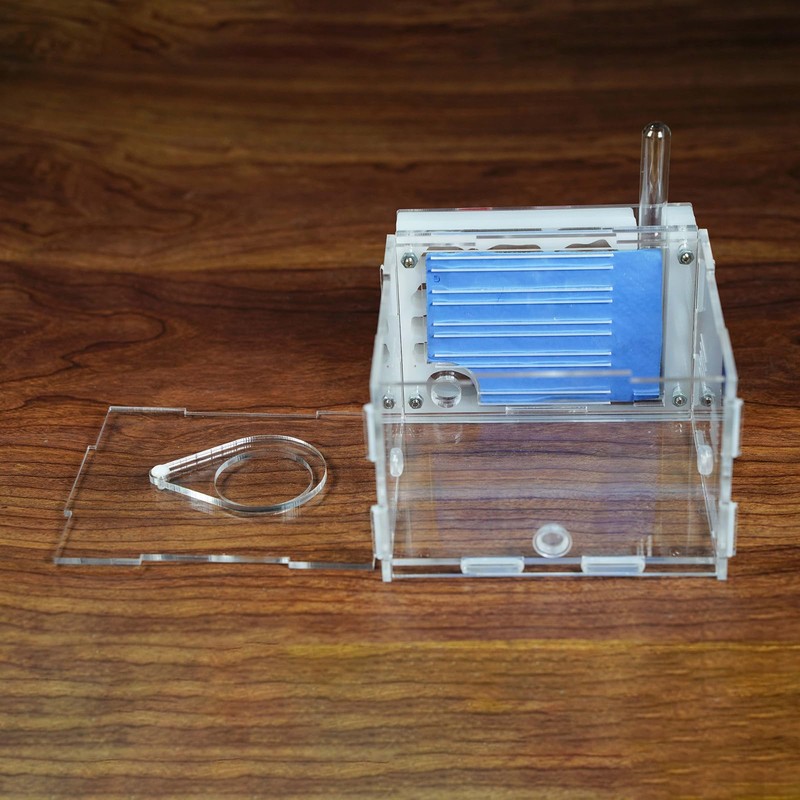 Ant Farm Ant House for Adults Ant Farm Acrylic Transparent