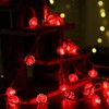 Amants01 USB 5V Red Lanterns String Lights 33ft/10M 80 LEDs