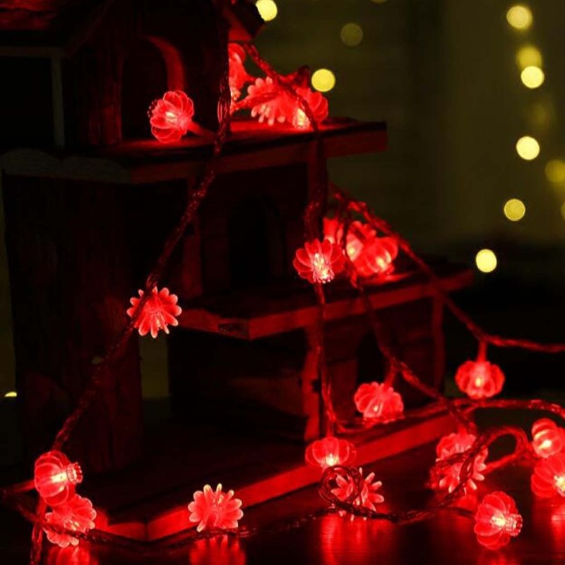 Amants01 USB 5V Red Lanterns String Lights 33ft/10M 80 LEDs