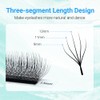 NAGARAKU 5D W Eyelash Extensions, 2.0 Version, Camellia Eyelash Extension,
