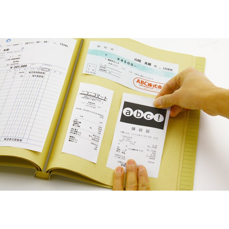 Lion Office Equipment Scrapbook A4S No.550 Craft