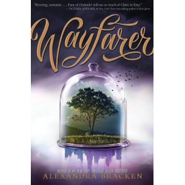 Wayfarer (A Passenger Novel, Book 2) (Passenger, 2)